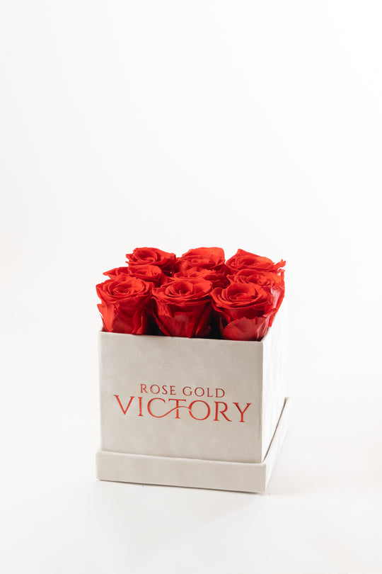 Red Roses in White Square (SM)