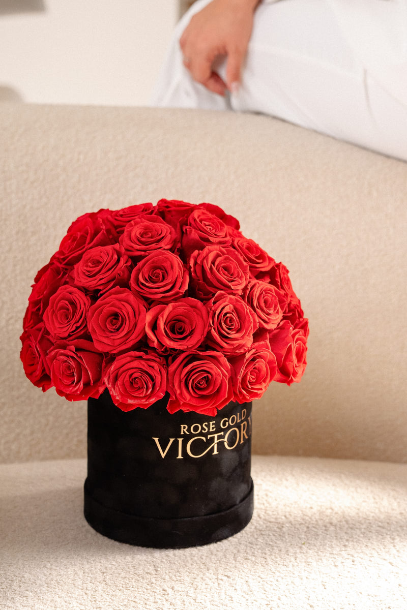 Rose Gold Victory red preserved-rose dome box styled on a curved cream sofa