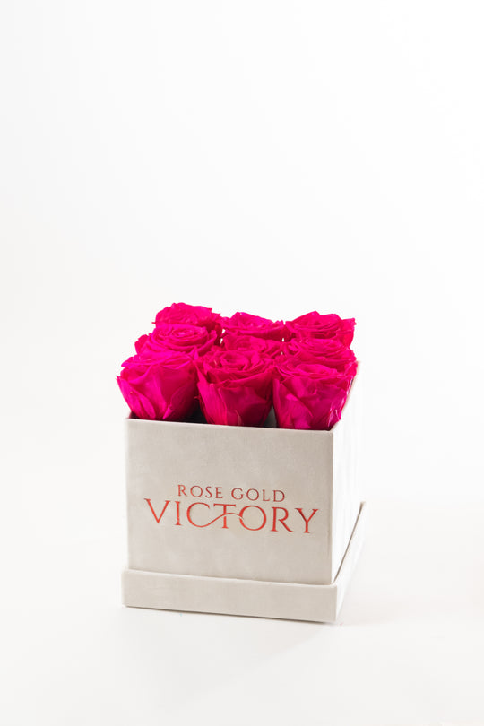 Hot Pink Roses in White Square Box (SM)