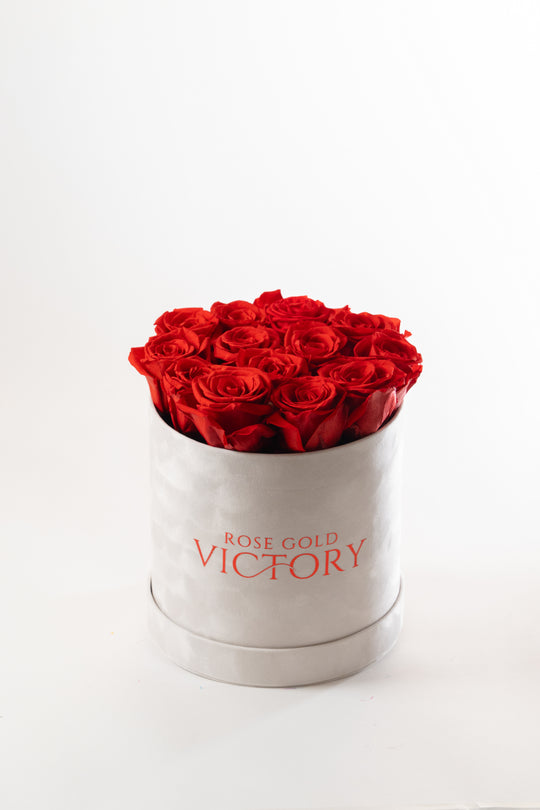 Red Roses in White Round Box (SM)