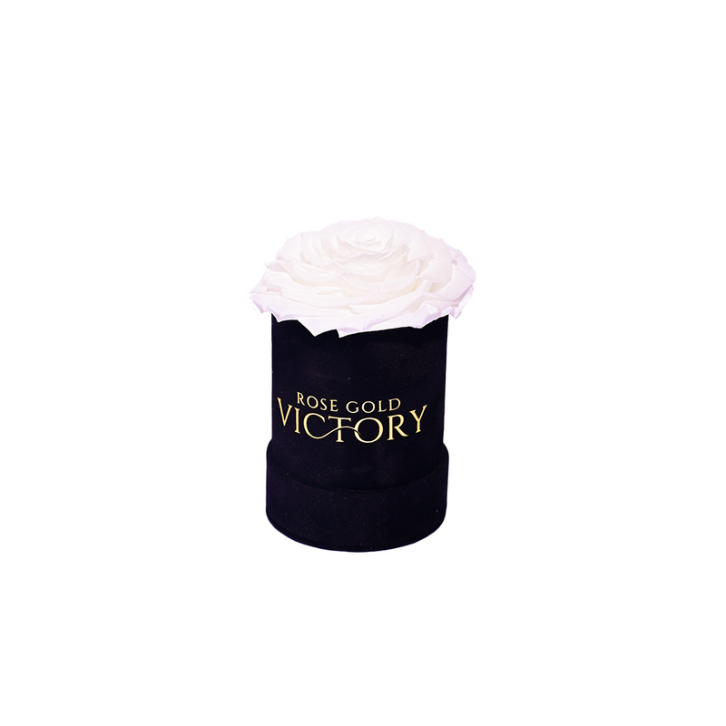 White - Unique Rose in Black Mini Box