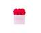 Square Box Small