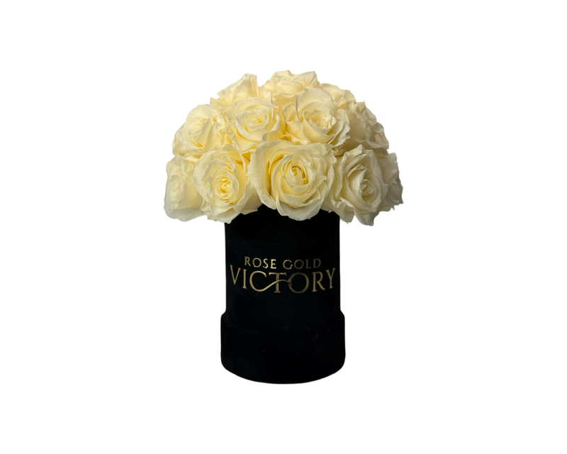 Cream (Ivory) - Mini Bouquet of Rose in Black Box