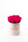 Hot pink preserved roses in a small round suede box — Rose Gold Victory
