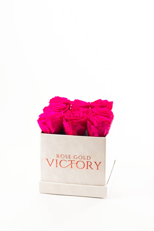 Hot pink preserved roses in a small white square box — Rose Gold Victory
