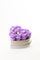 Lilac preserved roses in a grey suede heart box with a crystal center, Rose Gold Victory