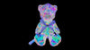 Light Up Bear with Gift Box